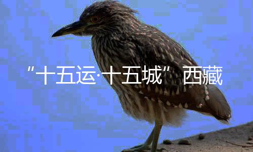 “十五运·十五城”西藏林芝波密站全运花车发车仪式举行