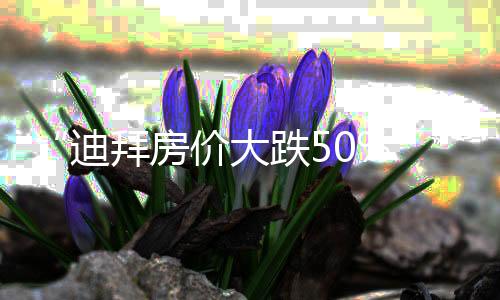 “迪拜房价大跌50%”👨‍🦼‍➡️？不属实🖐🏼🏜！部分中东家族办公室已火速赴港，全球投资者的置业逻辑变了🙍🏿？