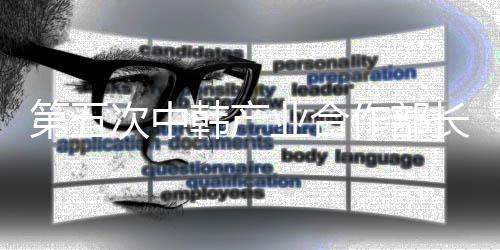 第五次中韩产业合作部长级对话在京举行