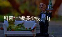 科密***锁多少钱✊🏽、山西***锁、龙城科密(查看)