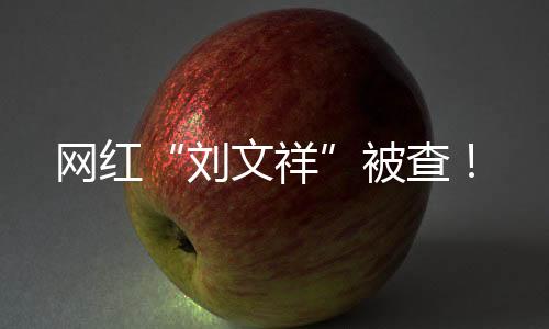 网红“刘文祥”被查🫅🏼！