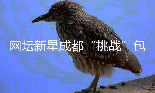 网坛新星成都“挑战”包饺子 沉浸式体验中国文化