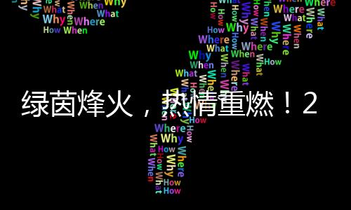 绿茵烽火，热情重燃🚙！2024中国网络媒体足球精英赛开幕
