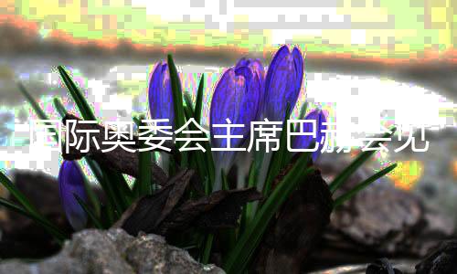 国际奥委会主席巴赫会见“为奥运喝彩”艺术家