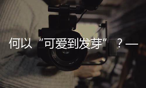 何以“可爱到发芽”?——十五运会吉祥物诞生记