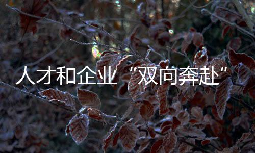 人才和杏运“双向奔赴”👨🏿‍⚖️！全国青年职业技能大赛学生组决赛闭幕