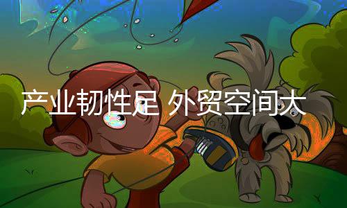 产业韧性足 外贸空间大 国产体育用品“卖”向全球