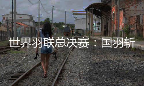 世界羽联总决赛👨🏻‍🦼‍➡️：国羽斩获三冠 石宇奇横扫安东森