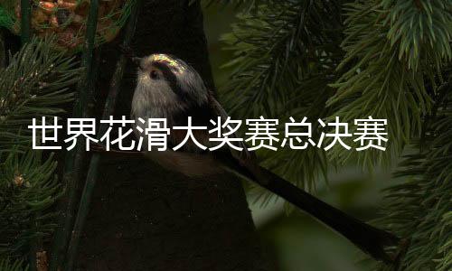 世界花滑大奖赛总决赛 张嘉轩/黄一航获双人滑冠军