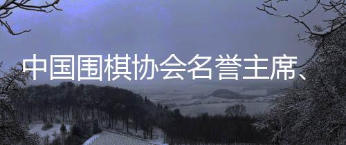 中国围棋协会名誉主席👨🏿‍⚕️、“棋圣”聂卫平病逝
