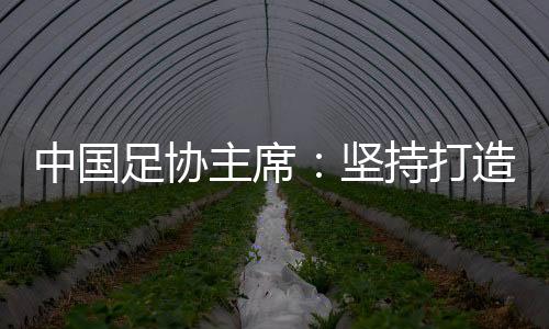 中国足协主席😨👨🏻‍⚕️：坚持打造亚洲一流联赛和百年俱乐部