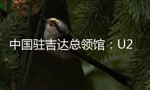 中国驻吉达总领馆👬：U23亚洲杯决赛“中国人免票”为不实信息