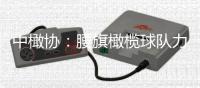 中橄协：腰旗橄榄球队力争参加洛杉矶奥运会、取得佳绩