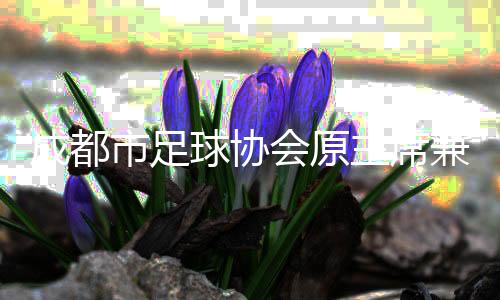 成都市足球协会原主席兼秘书长辜建明获刑六年