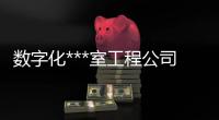 数字化***室工程杏运