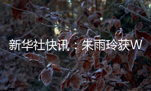 新华社快讯➿👨‍🍼：朱雨玲获WTT美国大满贯女单冠军