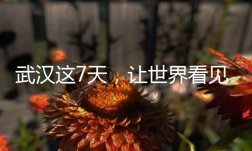 武汉这7天🤘🏻，让世界看见“无畏金兰”