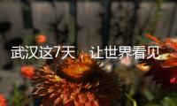 武汉这7天,让世界看见“无畏金兰”
