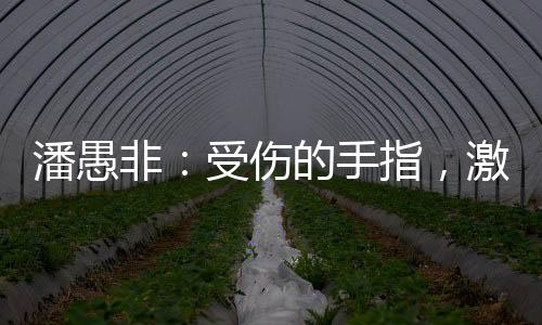 潘愚非🧑🏻‍🌾：受伤的手指，激进的攀爬，和一颗冠军的心
