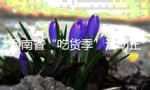 河南省“吃货季”活动正式启动