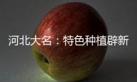 河北大名📎：特色种植辟新路 大棚鲜花助农增收