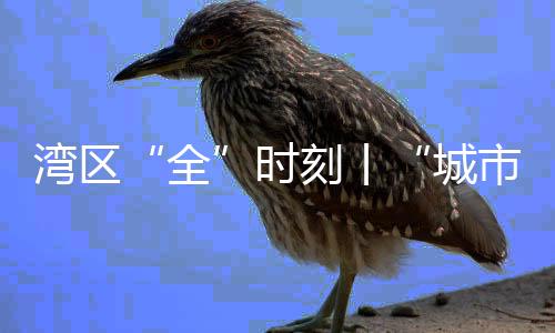 湾区“全”时刻丨“城市+运动” 当一项运动刻入城市记忆……