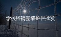 学校锌钢围墙护栏批发