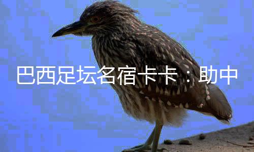 巴西足坛名宿卡卡🎴🎃：助中国青少年追逐“足球梦”