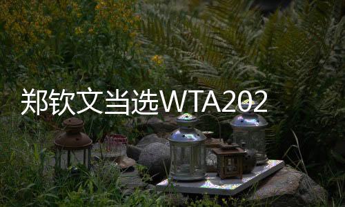 郑钦文当选WTA2025年度最受球迷欢迎单打球员