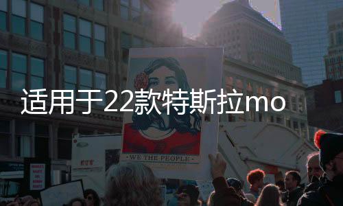 适用于2611413326114133款特斯拉model3门槛条装饰迎宾踏板贴纸碳纤维改装配件