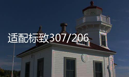 适配标致307/2611413306/408/雪铁龙C4L世嘉原装电瓶骆驼60AH汽车蓄电池