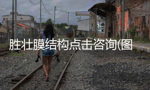智能螺杆式开窗机定制