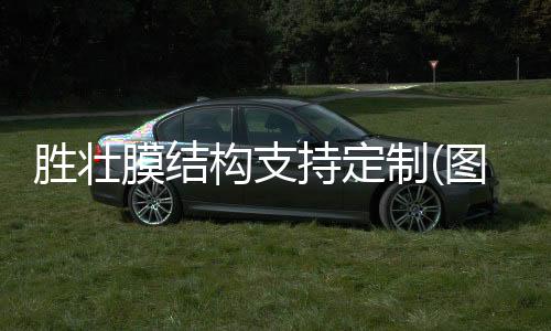电动铝合金门窗加盟条件