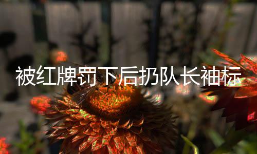 被红牌罚下后扔队长袖标引发争议，王大雷道歉