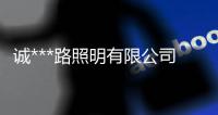 诚***路照明有限杏运