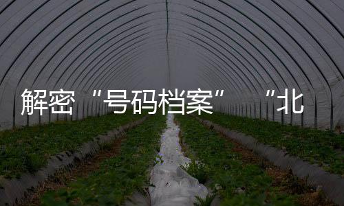 解密“号码档案” “北京篮球历史文化季第二季”启动