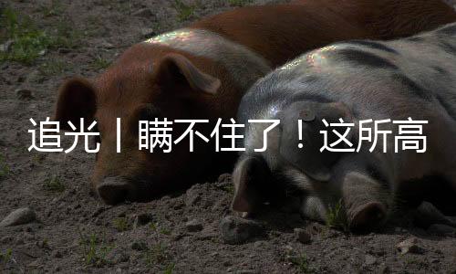 追光丨瞒不住了!这所高校的学生居然会“一苇渡江”