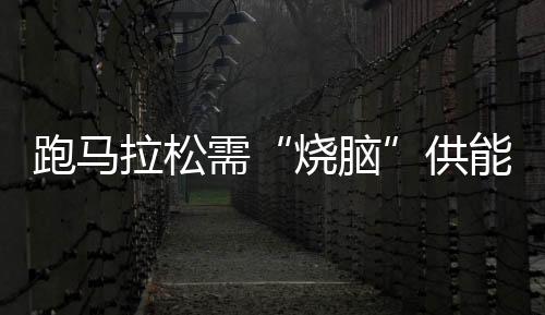 跑马拉松需“烧脑”供能👜？国际最新研究称大脑髓磷脂会发生可逆改变