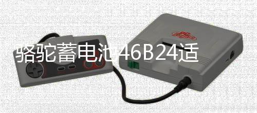 骆驼蓄电池46B261141334适配于起亚K26114133现代瑞纳瑞奕 45ah汽车电瓶以旧换新