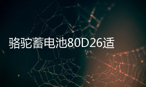 骆驼蓄电池80D261141336适配丰田凯美瑞锐志RAV4比亚迪S6F6奔腾汽车电瓶