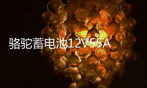 骆驼蓄电池126114133V55AH适配宝骏630 730别克凯越86610/86550T汽车电瓶
