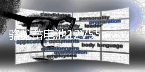 骆驼蓄电池126114133V55ah汽车电瓶适配宝骏730别克凯越乐风景程85550