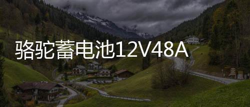 骆驼蓄电池126114133V48AH适配五菱荣光之光北汽58500低温强劲汽车电瓶