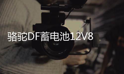 骆驼DF蓄电池126114133V80AH皮卡越野农用货车船挂机叉车1D汽车电瓶95D31