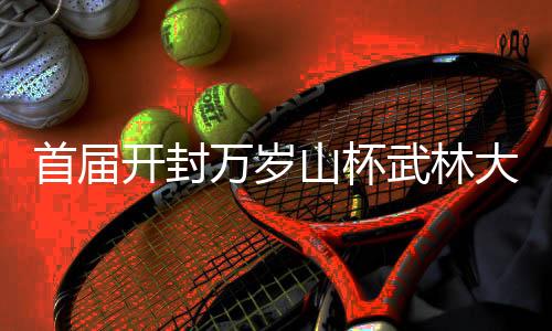 首届开封万岁山杯武林大会成功举办汇聚十省传统武术精英