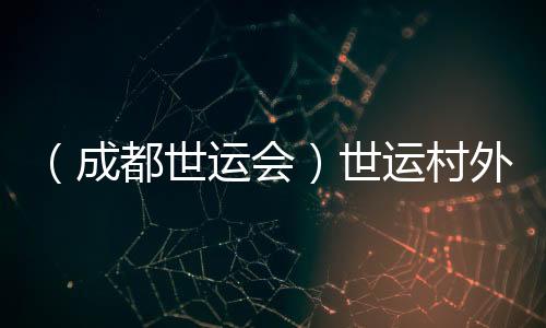 （成都世运会）世运村外的市集😯🙋🏼‍♀️：让世界感知“四川心意”