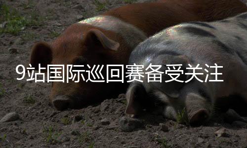 9站国际巡回赛备受关注 看“中国赛季”享网球热潮
