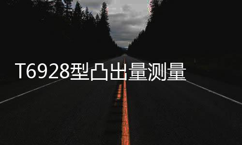 T6928型凸出量测量仪
