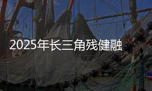 2025年长三角残健融合运动会——融合定向赛在沪开赛